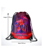 iShopping - Traverse Spiderman Digitally Printed Drawstring Bag (T817DRSTR)