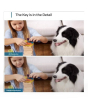 iShopping - Anker Eufy Security 2K Indoor Cam Pan+ Tilt (T8410121)