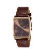 iShopping - Titan Analog Men's Watch Brown (1596WL03)