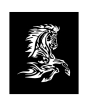 iShopping - Wish Hub Flames Horse Car Sticker White