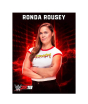 iShopping - WWE 2K19 Game For PS4