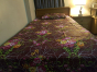 iShopping - Desire Life Pasha Single Cotton Bed Sheet