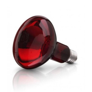 Beurer Spare Bulb For Infrared Lamp 100W (614.51) Beurer Spare Bulb For Infrared Lamp 100W (614.51)