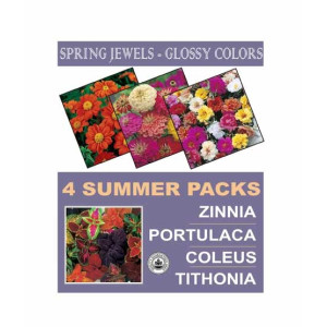 DIY Store Summer Flower Seeds Pack of 4 (0045) DIY Store Summer Flower Seeds Pack of 4 (0045)