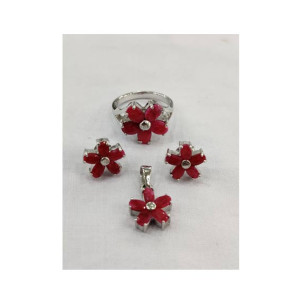 Gilgit Bazaar Ruby Stone Silver Set (20) Gilgit Bazaar Ruby Stone Silver Set (20)