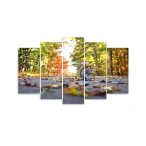 Maguari Squirrel On Road Canvas Small Wall Frame 5 Pcs (0704) Maguari Squirrel On Road Canvas Small Wall Frame 5 Pcs (0704)