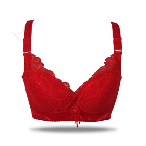 Purple Bag Fancy Lightly Padded Wired less Bra For Women (OFW0023) Purple Bag Fancy Lightly Padded Wired less Bra For Women (OFW0023)