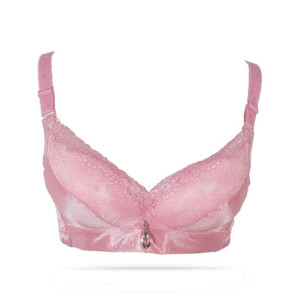 Purple Bag Fancy Soft Padded Wireless Lace Bra Pink (0057) Purple Bag Fancy Soft Padded Wireless Lace Bra Pink (0057)