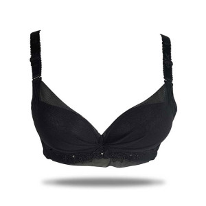 Purple Bag Lace Net Soft Padded Under Wired Bra Black (OFW0037) Purple Bag Lace Net Soft Padded Under Wired Bra Black (OFW0037)