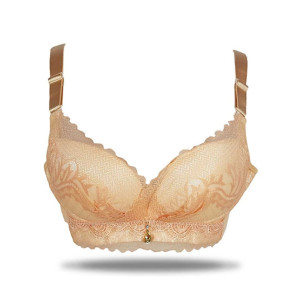 Purple Bag Lace Net Soft Padded Wired Less Bra (OFW0038) Purple Bag Lace Net Soft Padded Wired Less Bra (OFW0038)