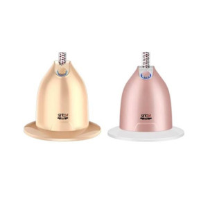 Sinbo Garment Steamer (SDI-2890) Sinbo Garment Steamer (SDI-2890)