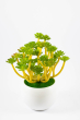 iShopping - ZS Store Artificial Plant & Pots Ceramic For Home Decoration - Pack of 2