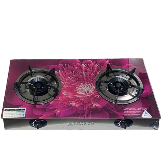 iShopping - Blackstone 2 Burners Gas Stove Glass Purple