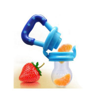 Muzmail Store Fresh Fruit Feeder For Baby