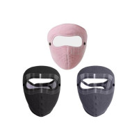 City Mart Windproof Anti-Dust Full Face Mask with HD Eye Shield