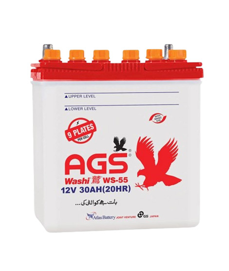 iShopping - AGS Washi 30Ah 12V Battery (WS-55)