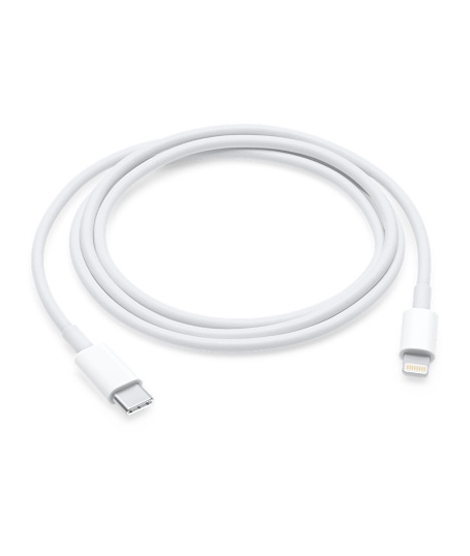 iShopping - Apple Lightning 1m USB-C Cable Without Box