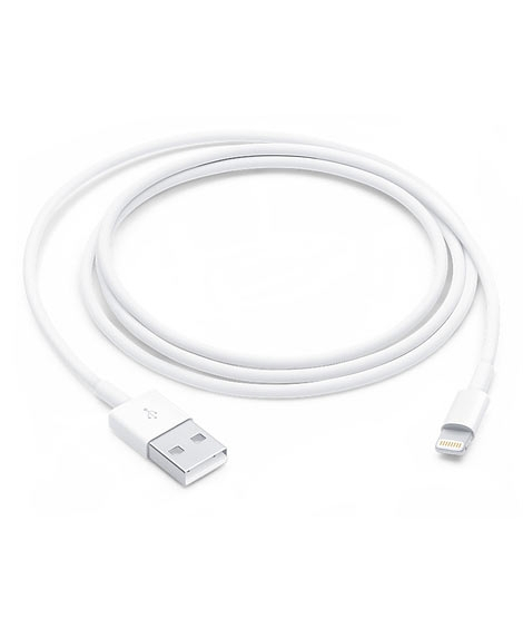iShopping - Apple Lightning to USB Cable 1M (MXLY2ZA/A)