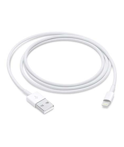 iShopping - Apple Lightning To USB Cable 1M White (MD818ZM)