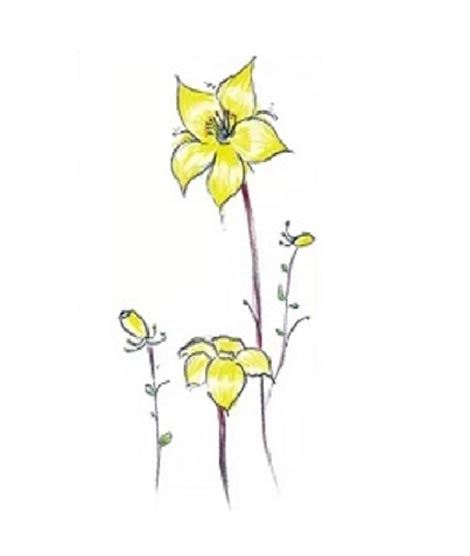 iShopping - G-Mart Yellow Blossom Flower Temporary Tattoo Sticker