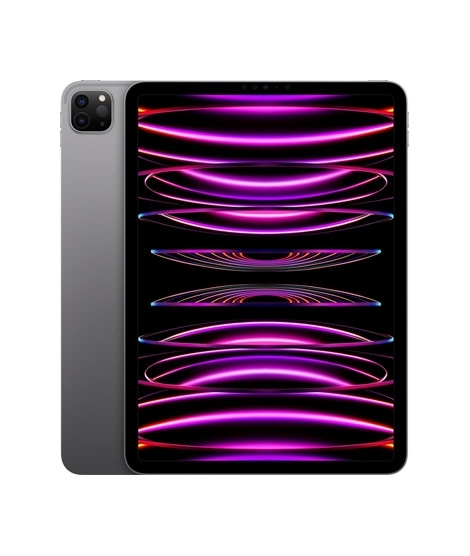 iShopping - Apple iPad Pro 11" 256GB Wi-Fi M2 Chip Space Gray (2022)