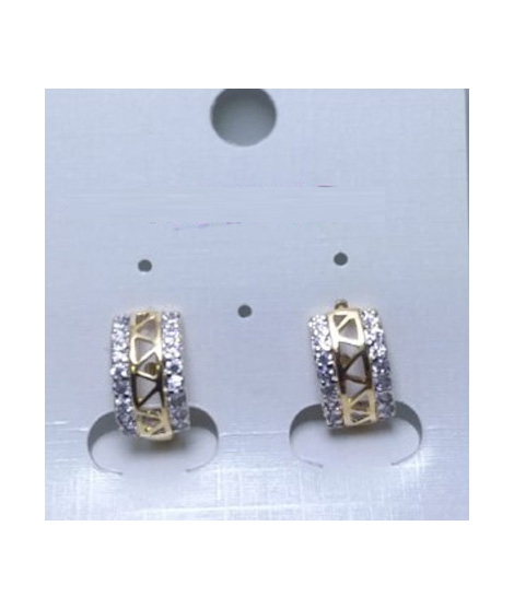 iShopping - Desire Fashion Designer Earring For Women (8020082)