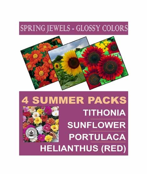 iShopping - DIY Store Summer Flower Seeds Pack of 4 (0044)