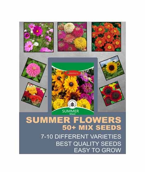iShopping - Diy Store Summer Season Mix Flower Seeds (0051)