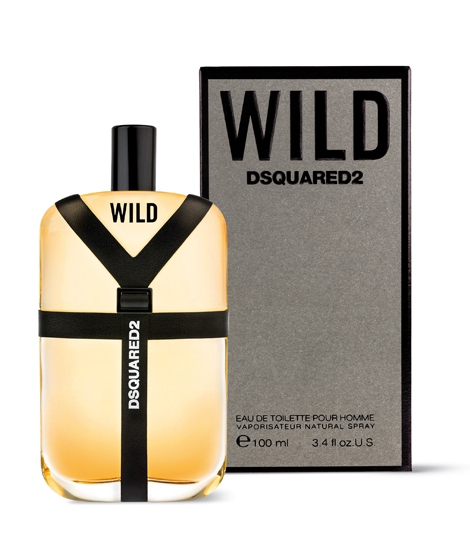 iShopping - Dsquared2 Wild Eau De Toilette For Men 100ml
