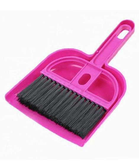 iShopping - Promax MiniDustpan and Brush Set