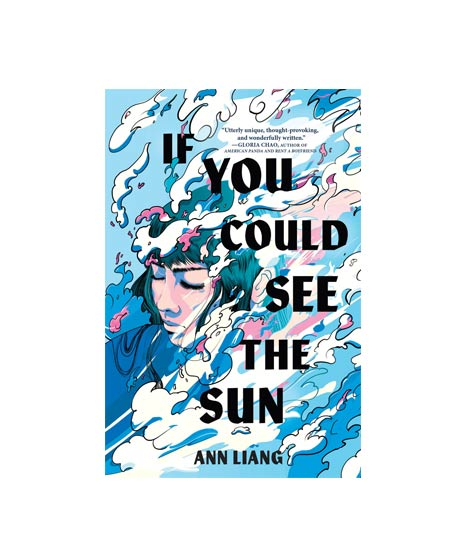 iShopping - If You Could See The Sun Book
