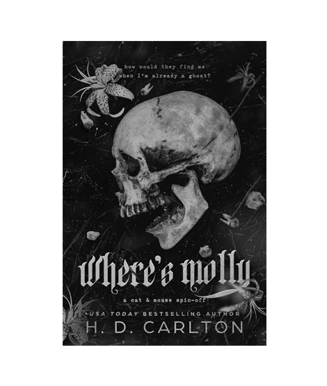 iShopping - Where's Molly Book