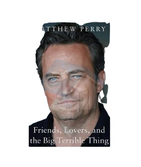 iShopping - Friends Lovers and The Big Terrible Thing Book