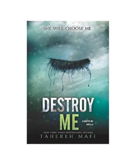 iShopping - Destroy Me Book