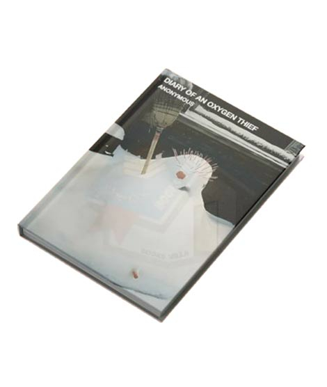 iShopping - Diary Of An Oxygen Thief Book