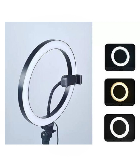 iShopping - Easy Shop 26cm TikTok Making Ring Light In 3 Shades