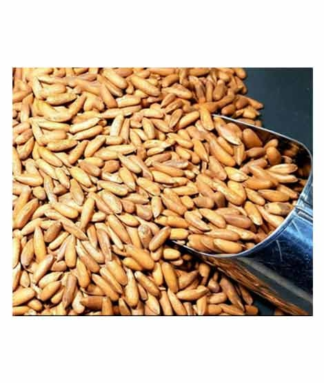 iShopping - Khan Dry Fruits Chilgoza Pine Nuts 1kg