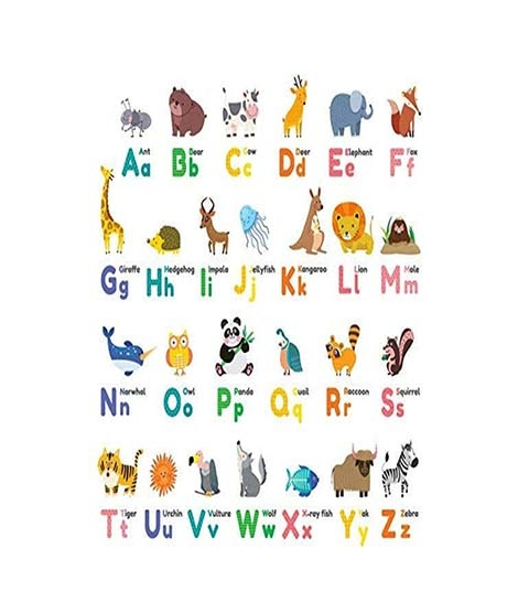 iShopping - Kharedloustad A4 Size Learning Wall Sticker (0140)