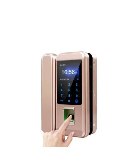 iShopping - Link Corporation Biometric Lock System