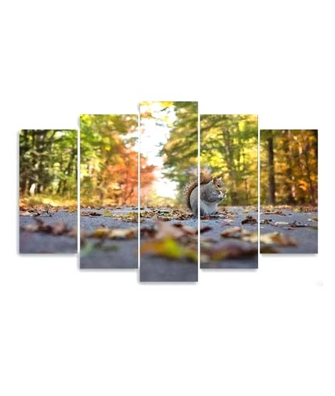 iShopping - Maguari Squirrel On Road Canvas Medium Wall Frame 5 Pcs (0705)