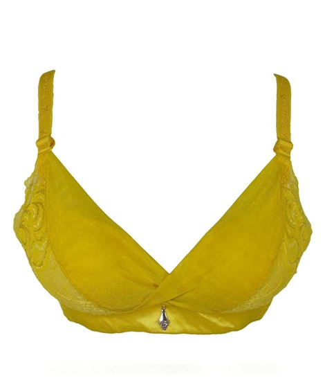 iShopping - Purple Bag Fancy Double Padded Wireless Pushup Bra For Women (0004)