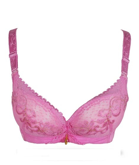 iShopping - Purple Bag Fancy Double Padded Wireless Pushup Bra Pink (0051)