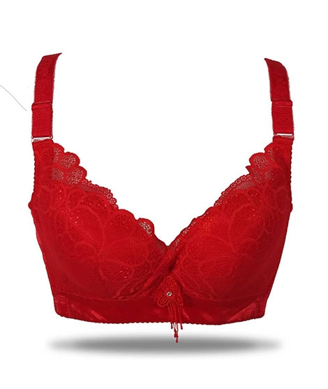 iShopping - Purple Bag Fancy Lightly Padded Wired less Bra For Women (OFW0023)