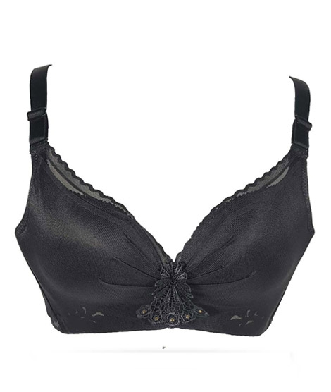 iShopping - Purple Bag Fancy Net Lace Wireless Light Padded Full Support Bra (0020)