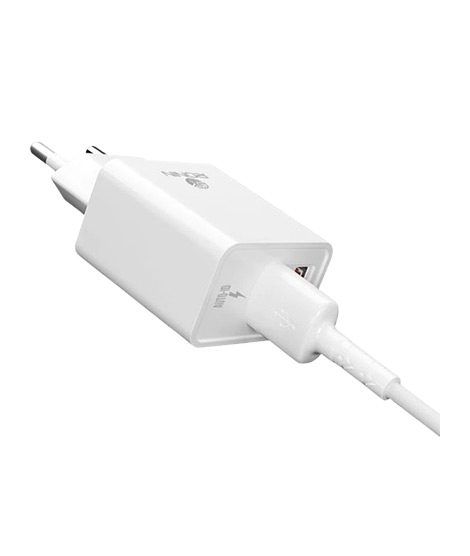 iShopping - Ronin Dual Port Type C Charger - White (R-615)
