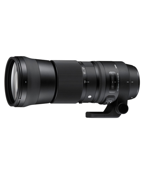 iShopping - Sigma 150-600mm f/5-6.3 DG OS HSM Contemporary Lens for Nikon F