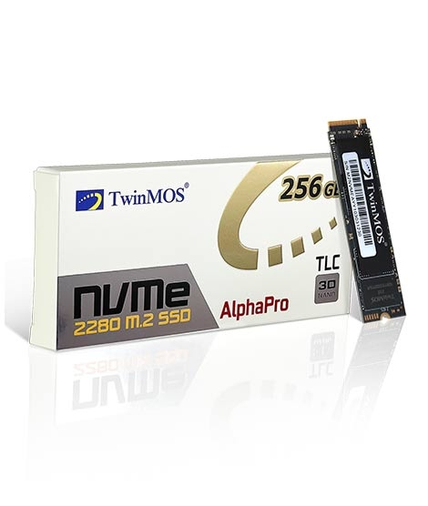 iShopping - TwinMOS 256GB NVMe M.2 2280 Solid State Drive (NVMeEGBM280)