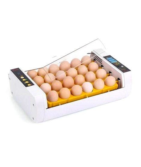 iShopping - VIP Deals 24 Egg Digital Incubator Hatchery Machine