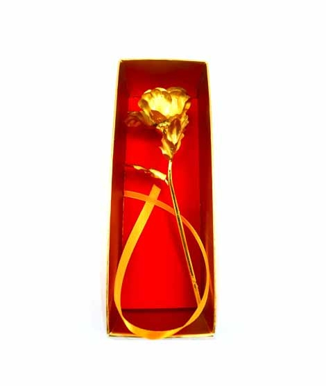iShopping - ZS Multi Store 24k Rose Golden Color