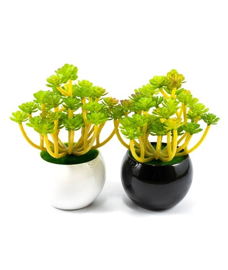 iShopping - ZS Store Artificial Plant & Pots Ceramic For Home Decoration - Pack of 2